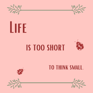 Life is too short to think small.