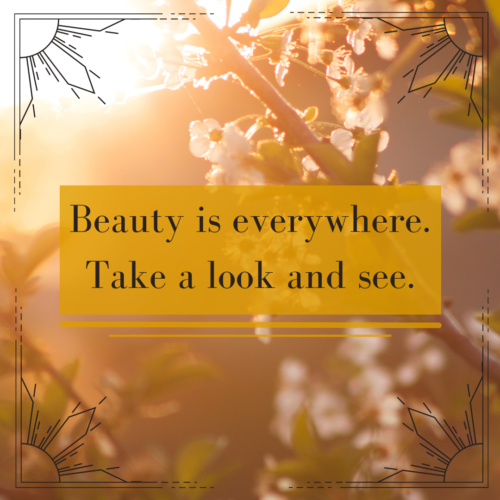Beauty is everywhere. Take a look and see.